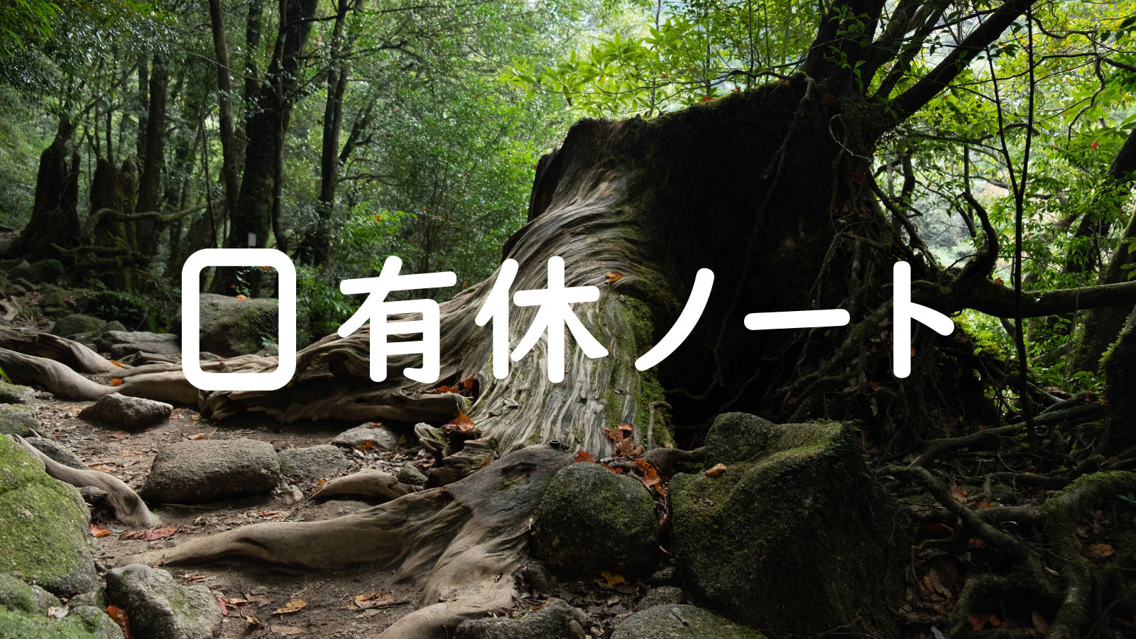 有給休暇管理ソフト「有休ノート」をリリースしました